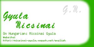 gyula micsinai business card